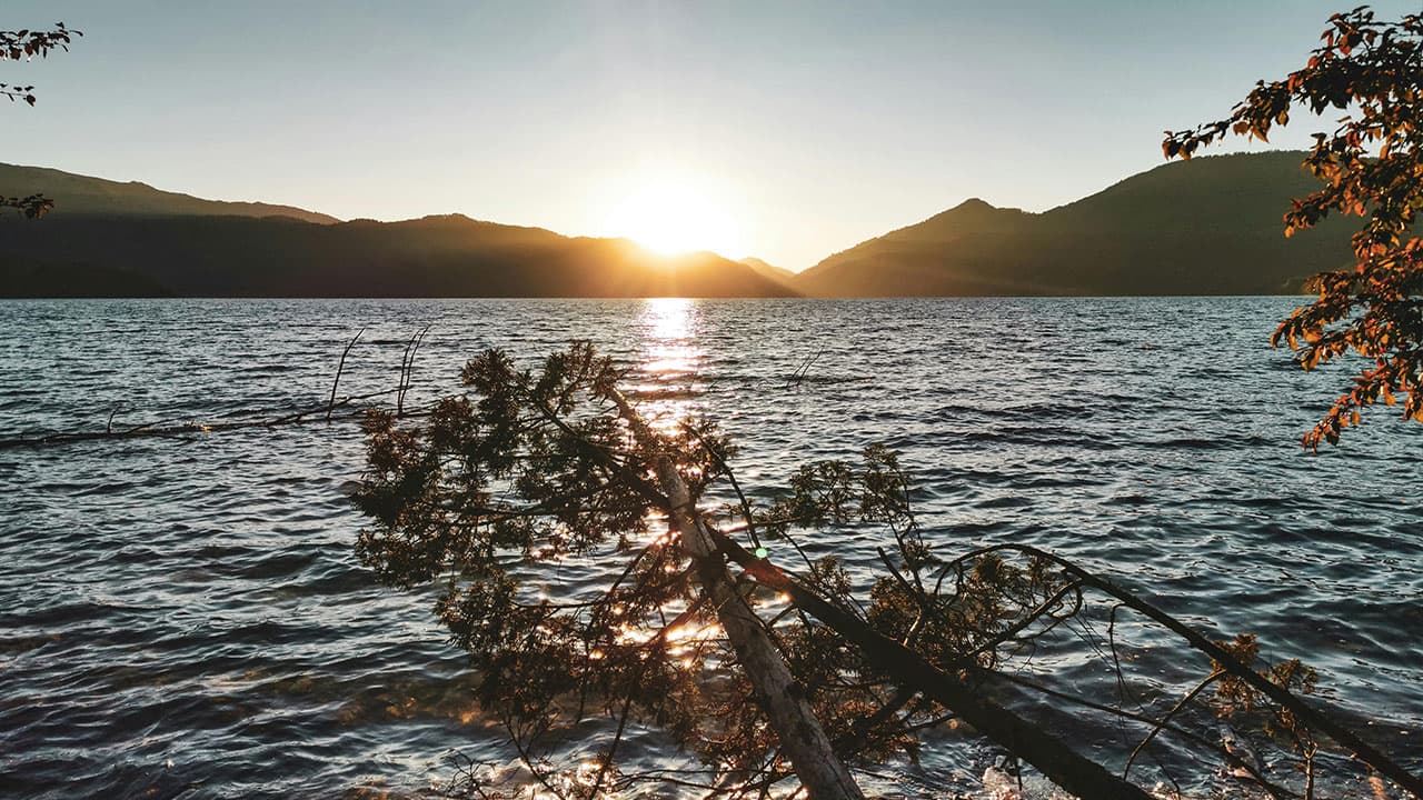 Sun setting behind mountain hills over Rara Lake with fallen pine branches in the water.