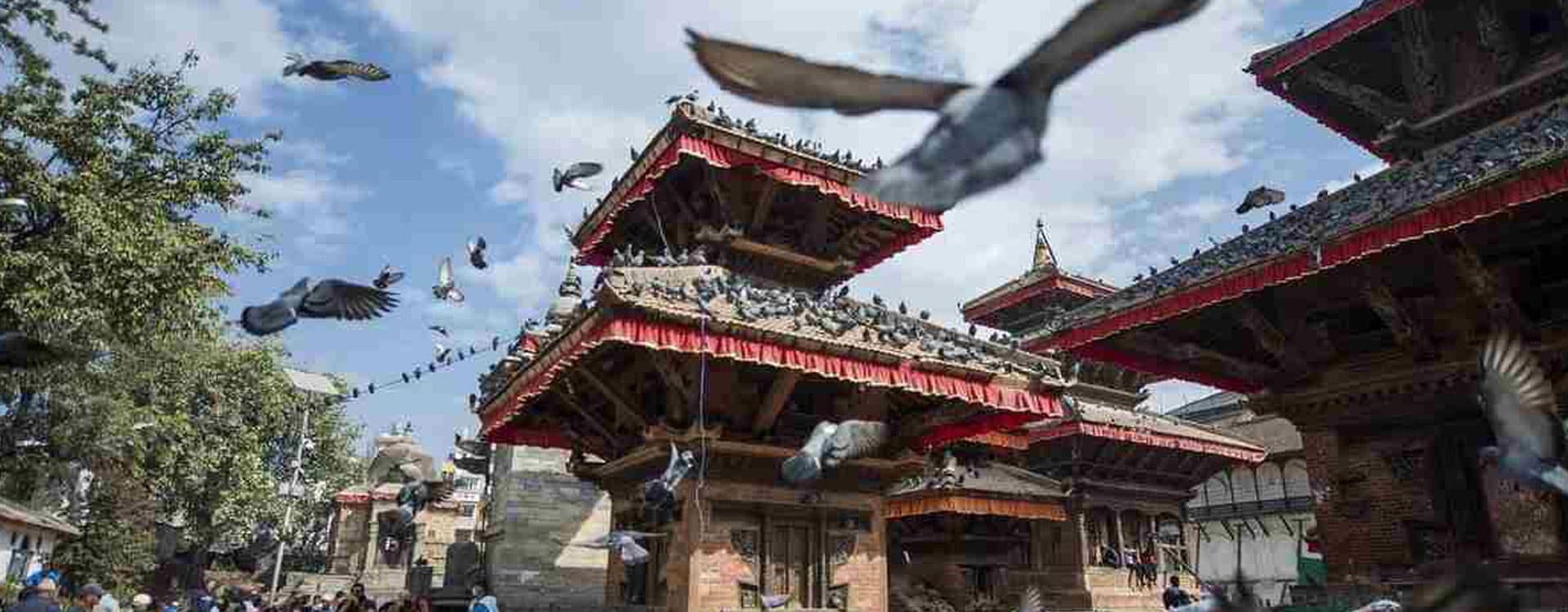 Nepal Tour Packages with Eco Holidays Nepal– Discover Nepal Your Way