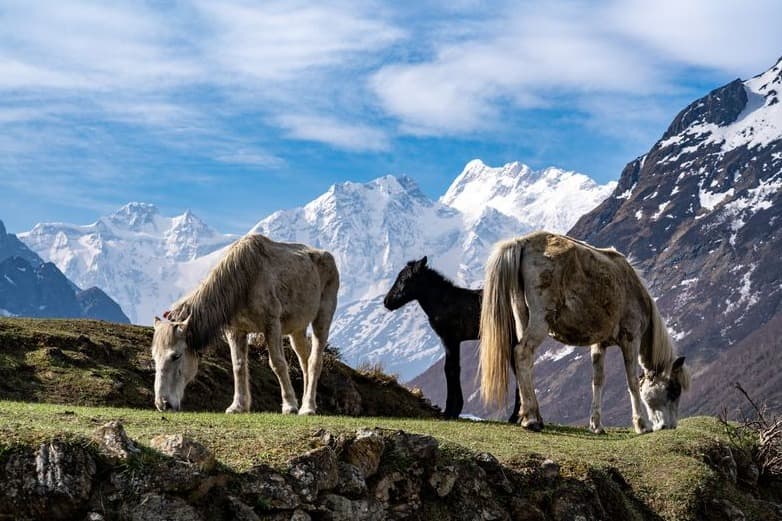 10 Best less crowded Trekking in Nepal