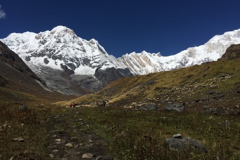 Annapurna Base Camp Nepal: FAQs and Insights
