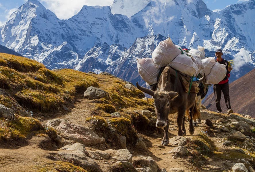 Hire Guide and Porter in Nepal