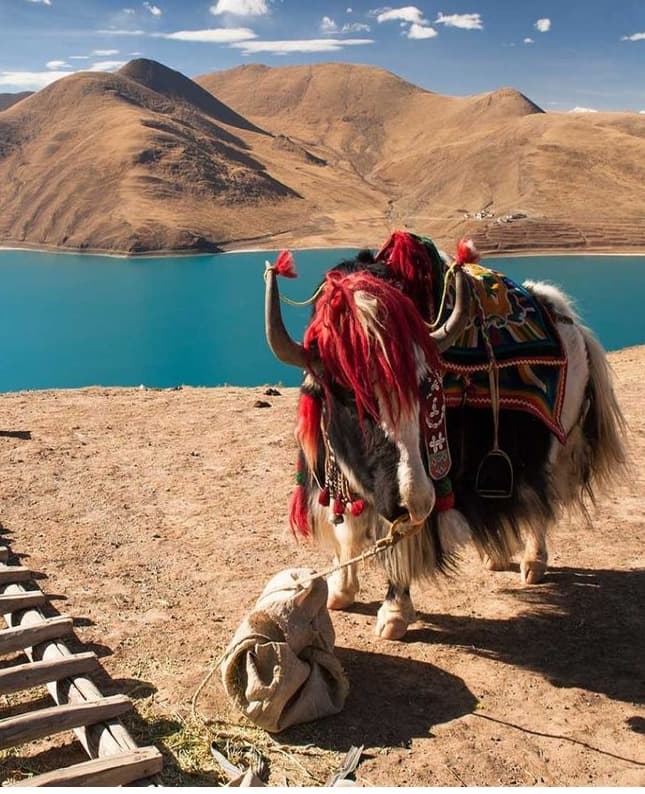 Trekking in Tibet