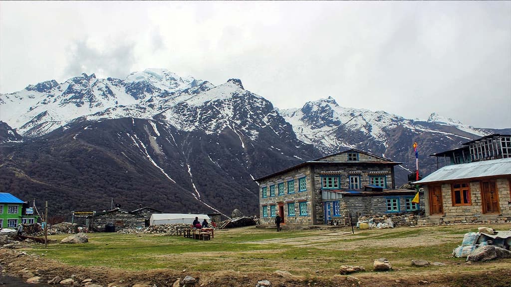 Kyanjin Valley Langtang