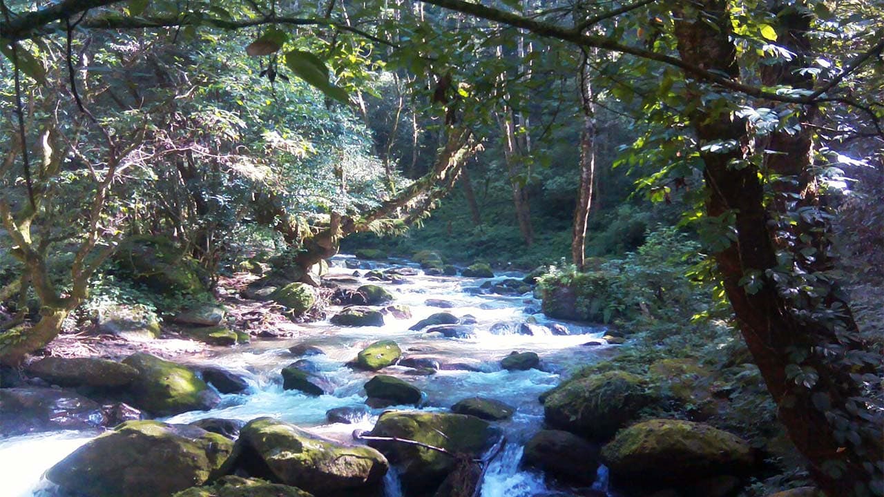 Shivapuri Nagarjun National Park