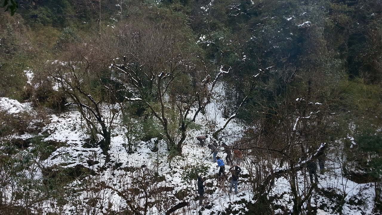 Phulchoki In Winter