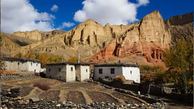 Dhakmar village