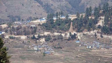 Nangi