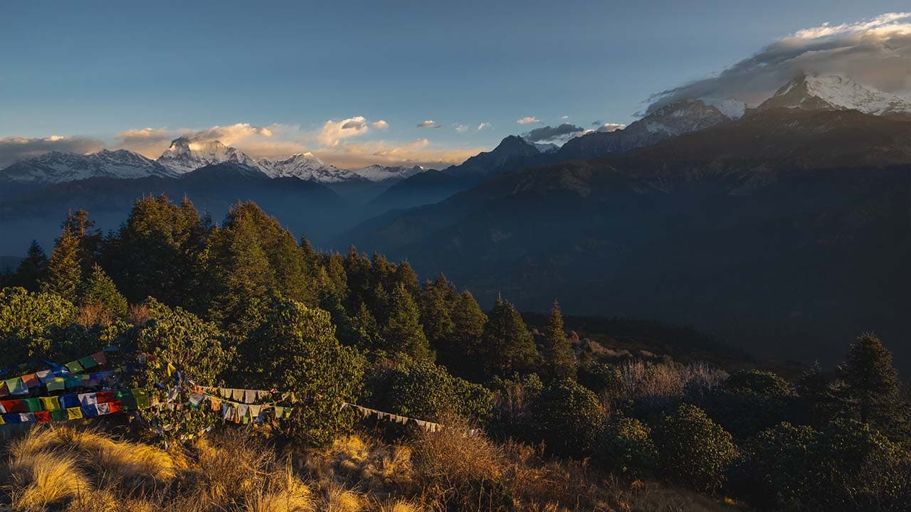 Sunset illuminating snow-capped mountain peaks beyond a forested ridge with colorful prayer flags in Nepal.
