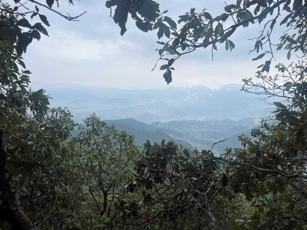 WhatsApp Image 2025 11 20 at 8.39.53 AM (1)