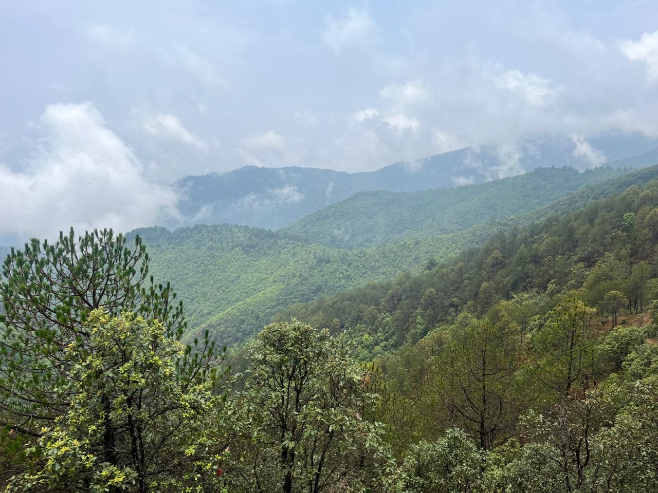 WhatsApp Image 2025 11 20 at 8.39.53 AM (2)