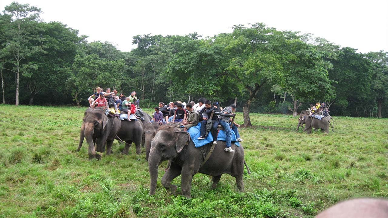 Chitwan National Park
