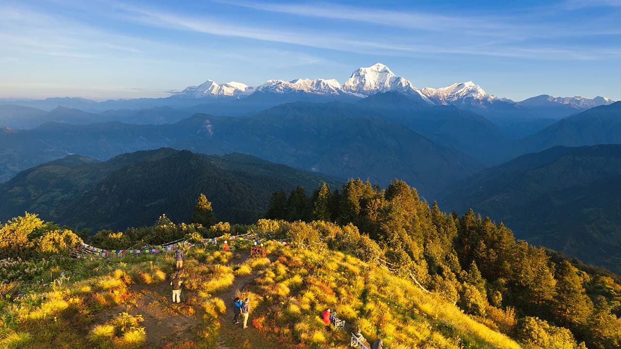 Golden sunlit grassy ridge on Poon Hill with trekkers overlooking the vast Dhaulagiri mountain range under a clear sky.