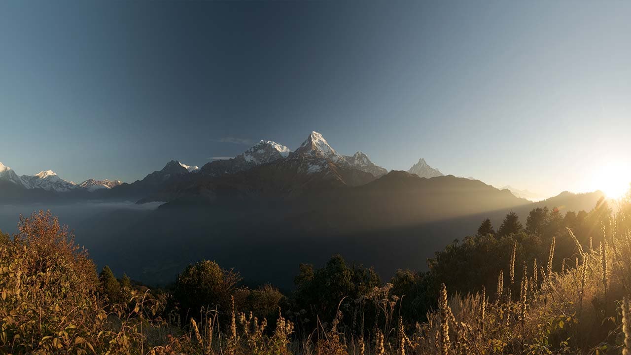 Panoramic view of snow-capped Annapurna peaks at sunrise above dark forested hills under a clear sky.